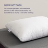 image:imagePurple Cloud Pillow  King Size Hypoallergenic Gel Fiber Fill for Plush CloudLike Comfort  Molds to Support Head amp Neck Wont Clump or FlattenKing Pack of 1