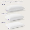image:imagePurple Harmony Pillow  Medium Loft King Size  Cooling Gel Neck and Side Sleeper Pillow Weightless Medium Feel GelFlex Grid and Talalay Latex Foam for PressureRelieving SupportStandard  Medium
